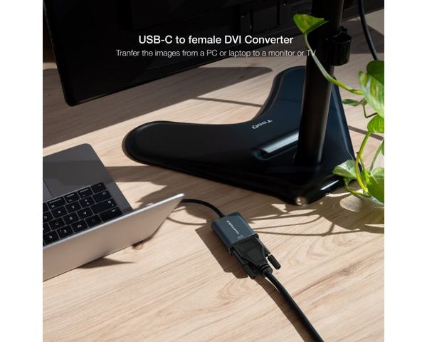 Nanocable Cable Conversor USB Tipo-C Macho a DVI-D (24+1) Hembra 15cm Gris